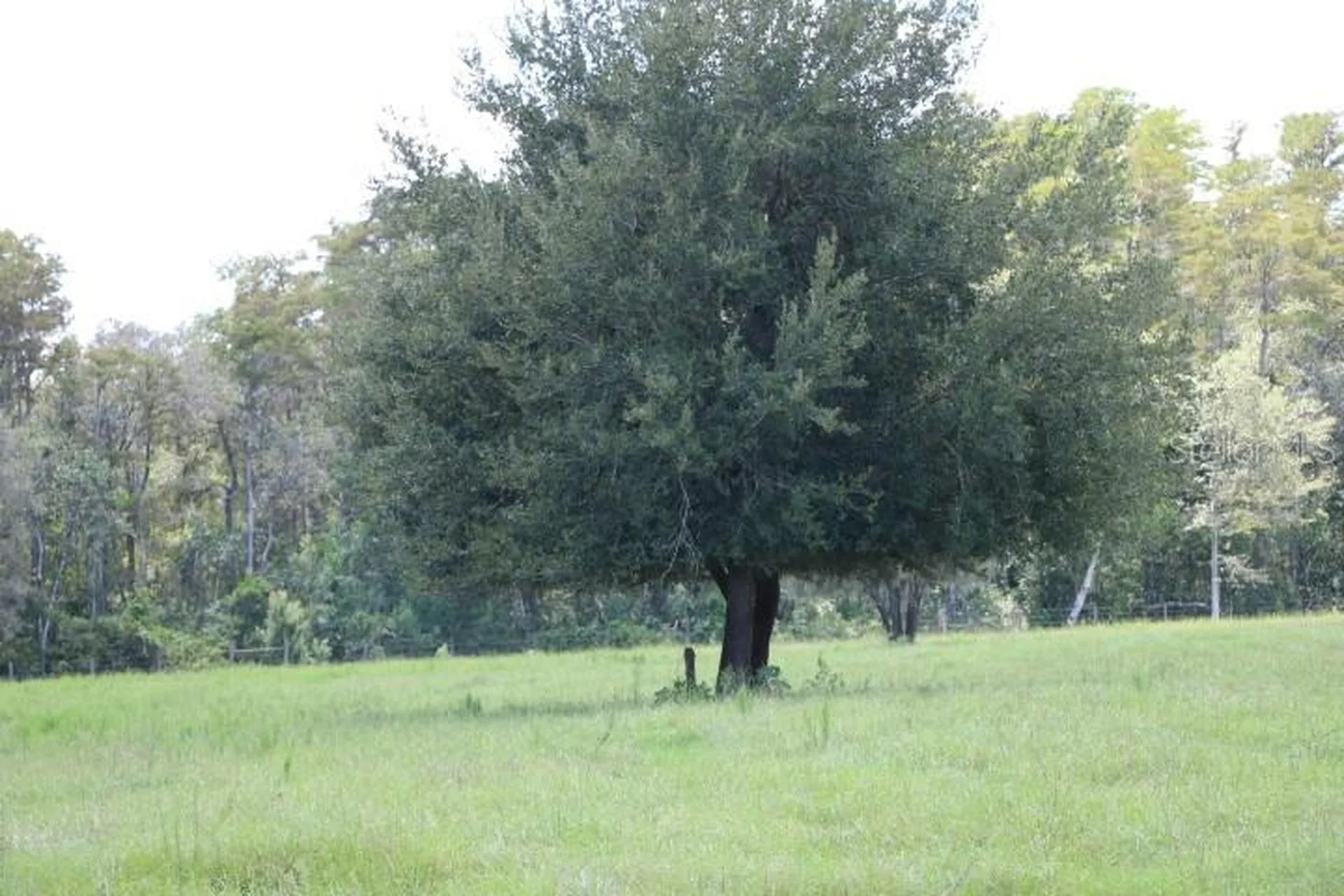 Green Swamp Road Clermont FL 34714