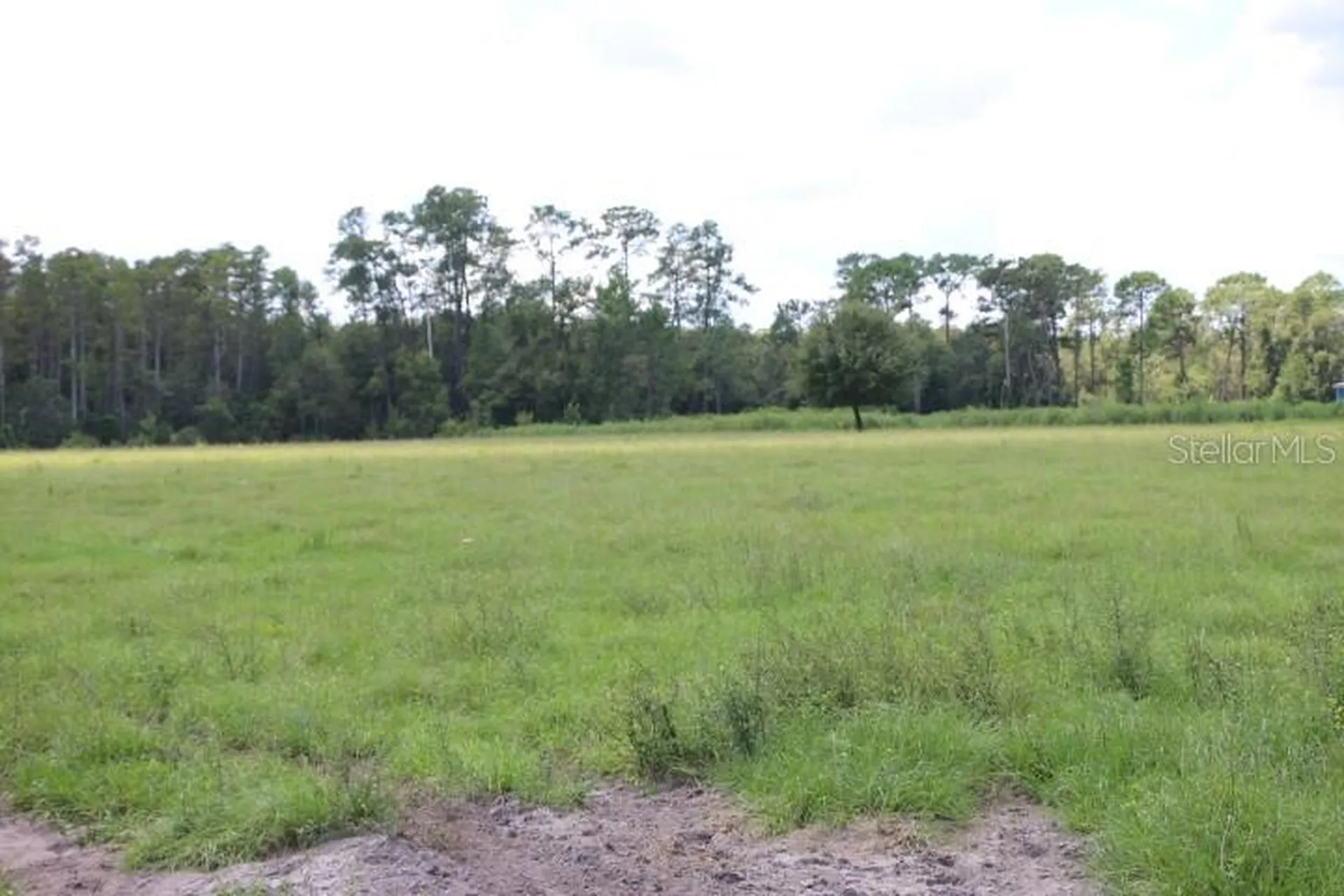 Green Swamp Road Clermont FL 34714