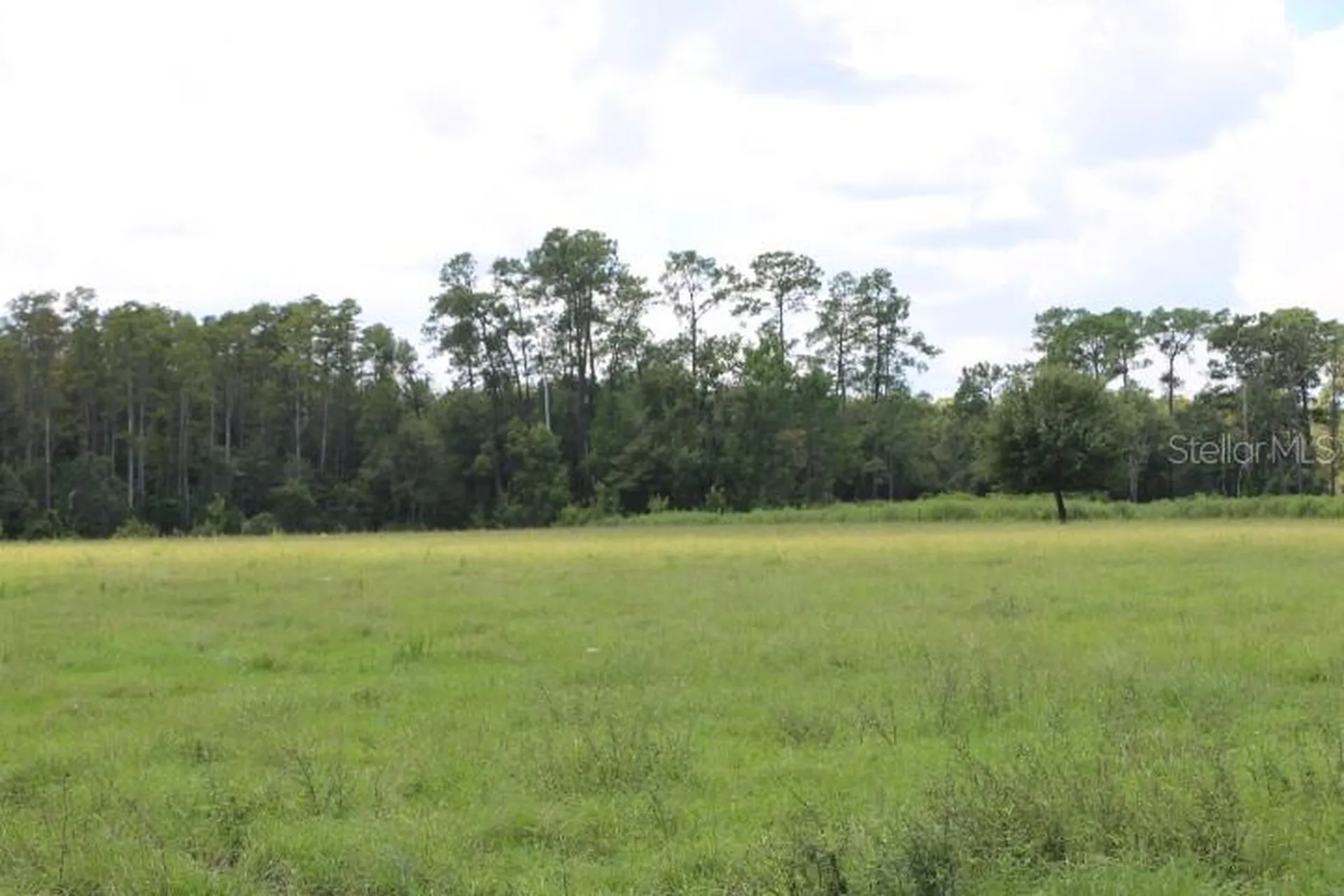 Green Swamp Road Clermont FL 34714