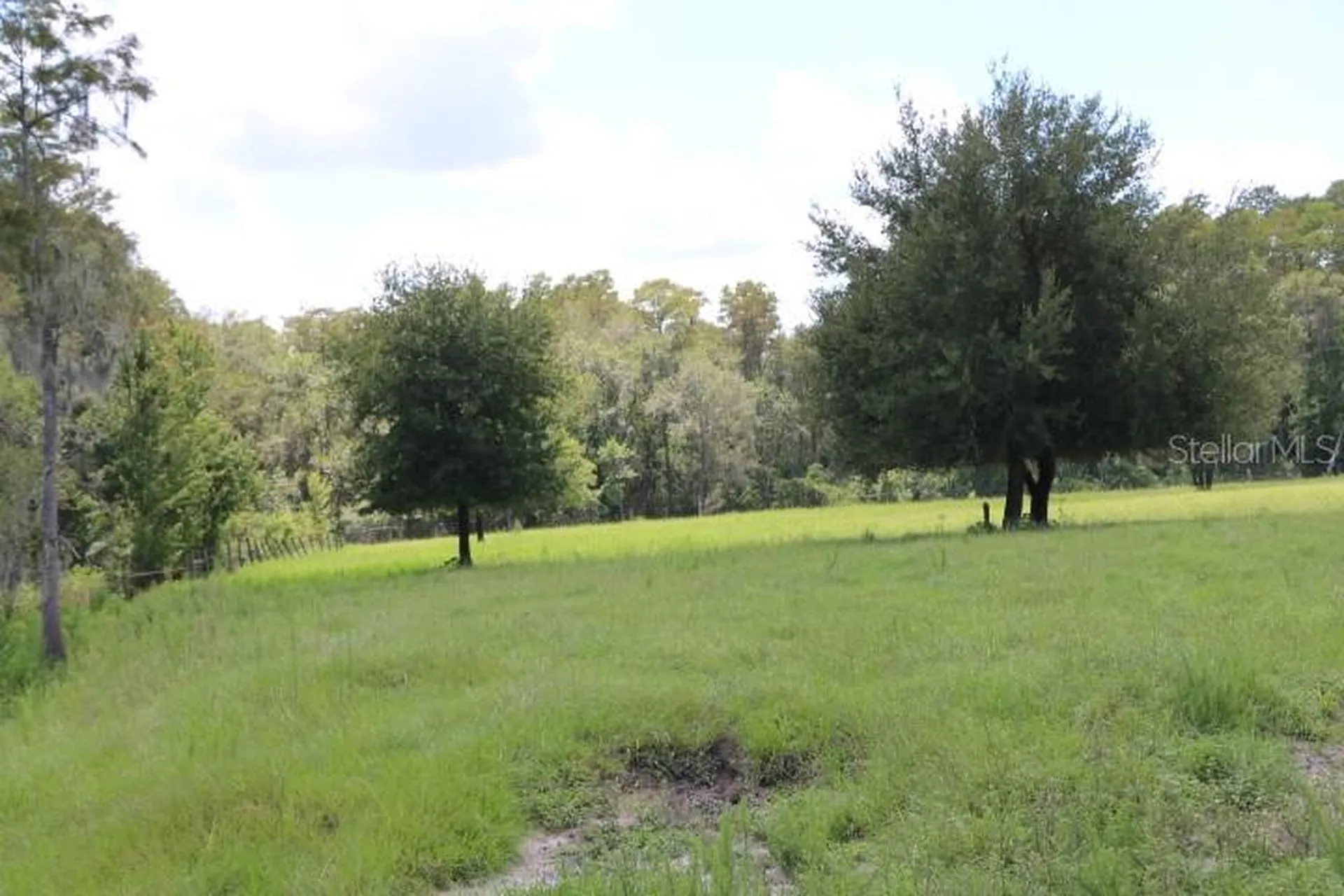 Green Swamp Road Clermont FL 34714