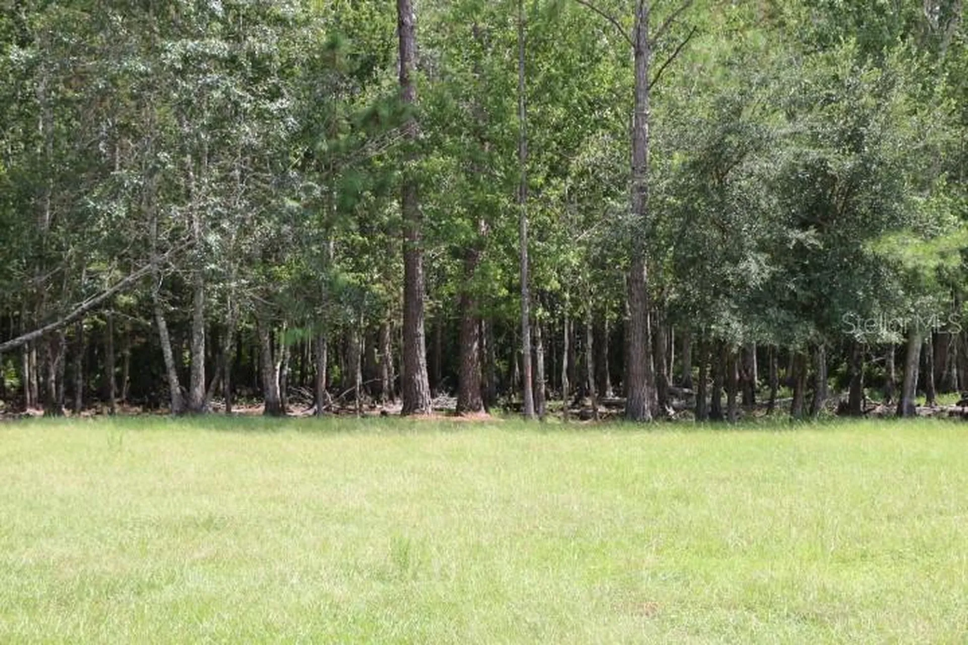 Green Swamp Road Clermont FL 34714