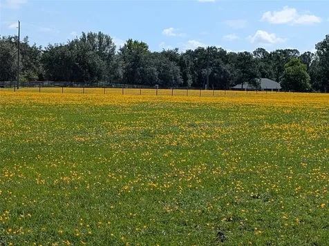 Green Swamp Road Clermont FL 34714