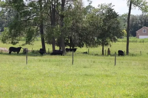 Green Swamp Road Clermont FL 34714