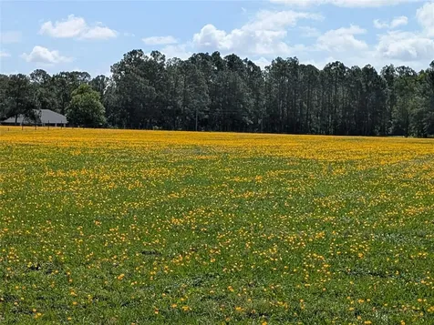 Green Swamp Road Clermont FL 34714