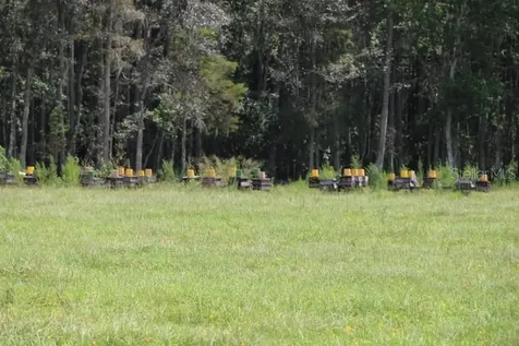 Green Swamp Road Clermont FL 34714