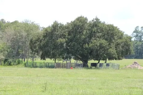 Green Swamp Road Clermont FL 34714