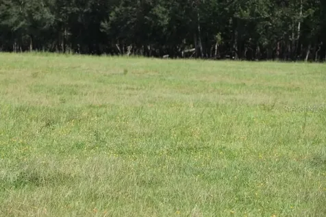 Green Swamp Road Clermont FL 34714