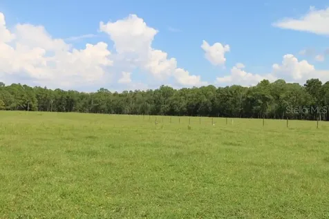 Green Swamp Road Clermont FL 34714