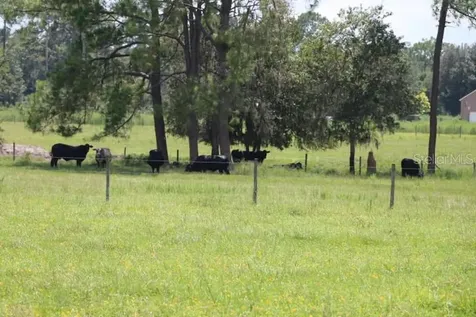 Green Swamp Road Clermont FL 34714