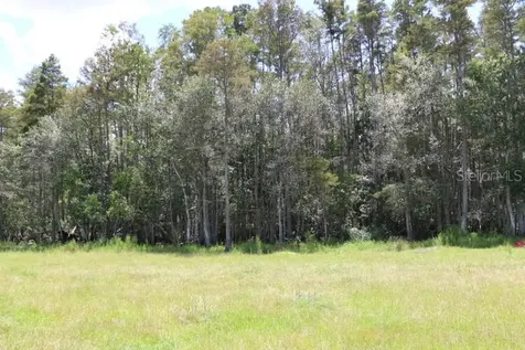 Green Swamp Road Clermont FL 34714