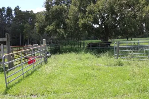 Green Swamp Road Clermont FL 34714