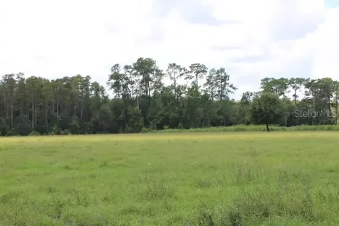Green Swamp Road Clermont FL 34714