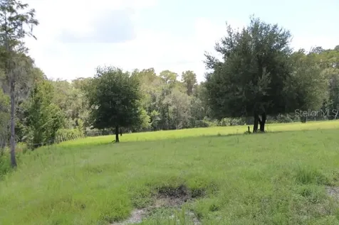Green Swamp Road Clermont FL 34714