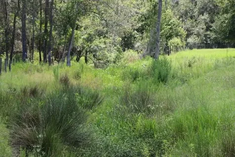 Green Swamp Road Clermont FL 34714