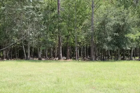 Green Swamp Road Clermont FL 34714