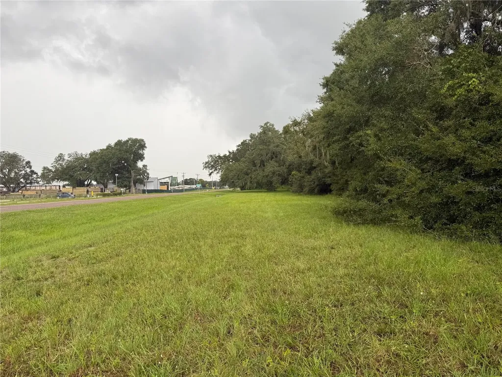 0 State Road 471 Webster FL 33597