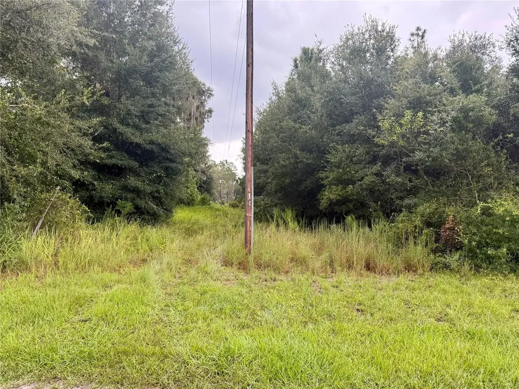 0 State Road 471 Webster FL 33597