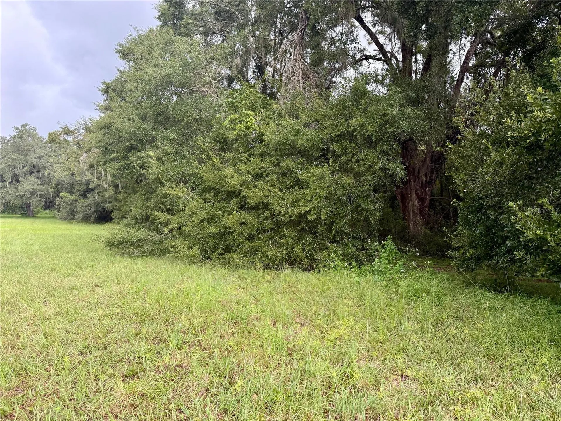 0 State Road 471 Webster FL 33597