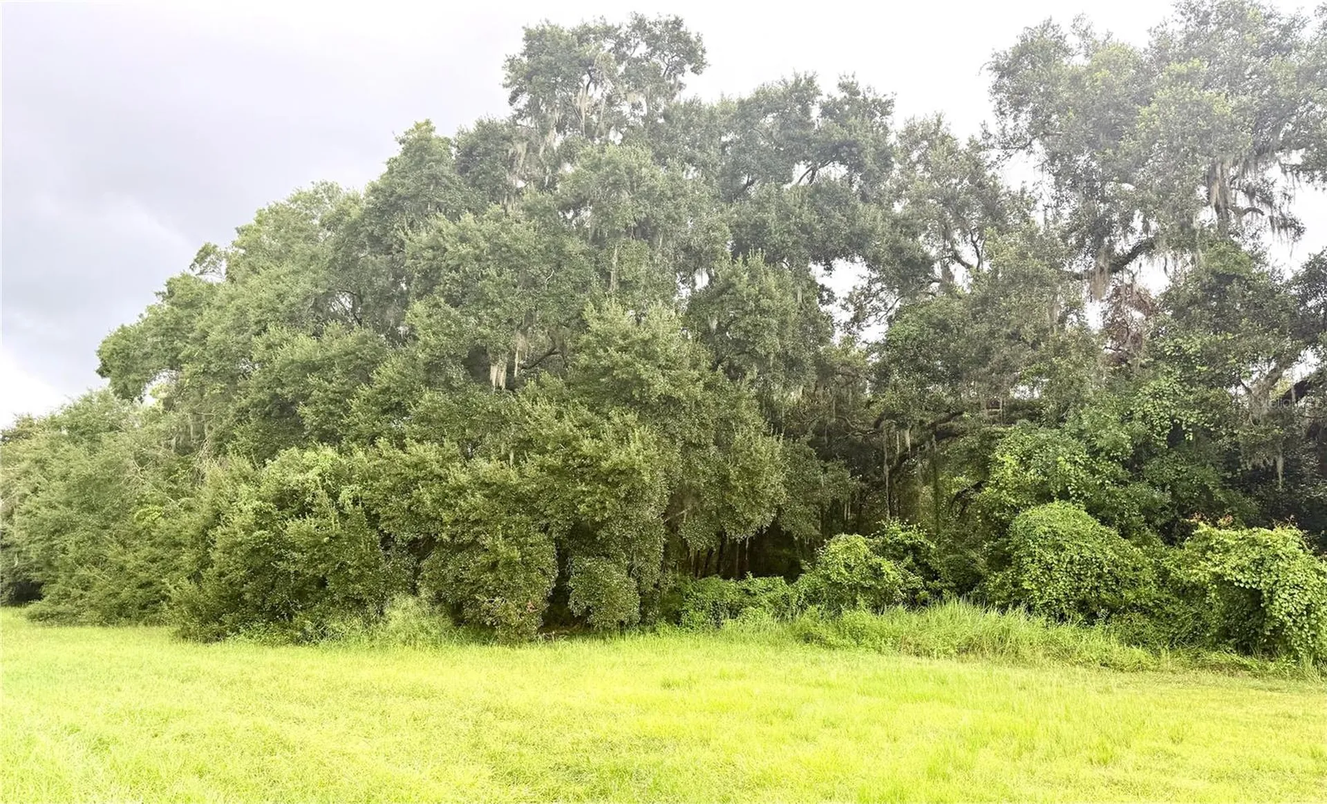 0 State Road 471 Webster FL 33597
