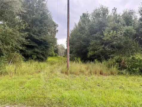 0 State Road 471 Webster FL 33597