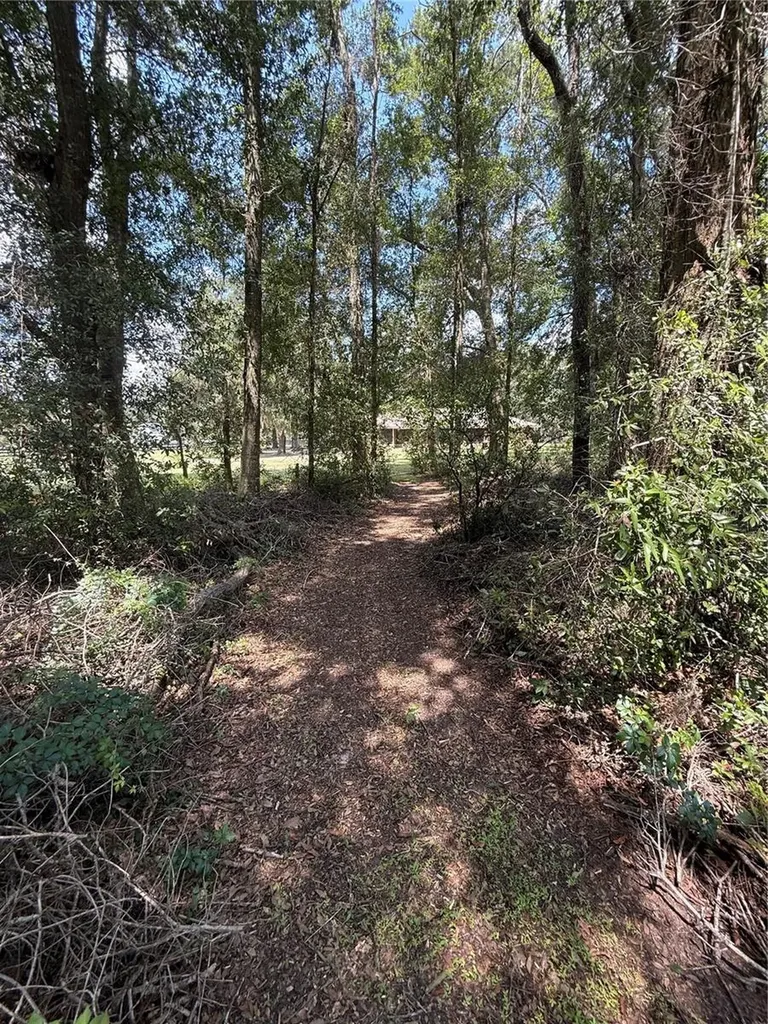 9901 SW 67th Terrace Ocala FL 34476