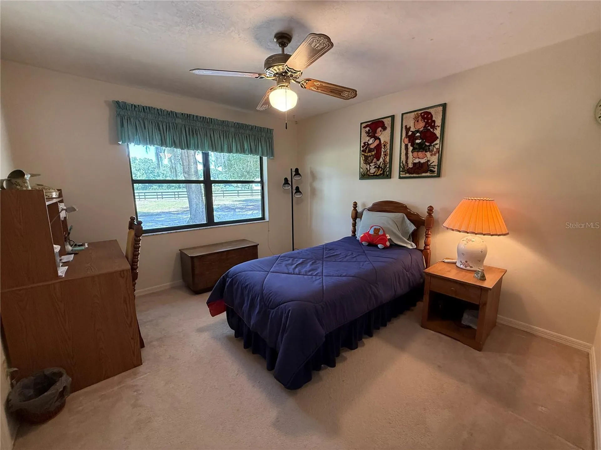 9901 SW 67th Terrace Ocala FL 34476