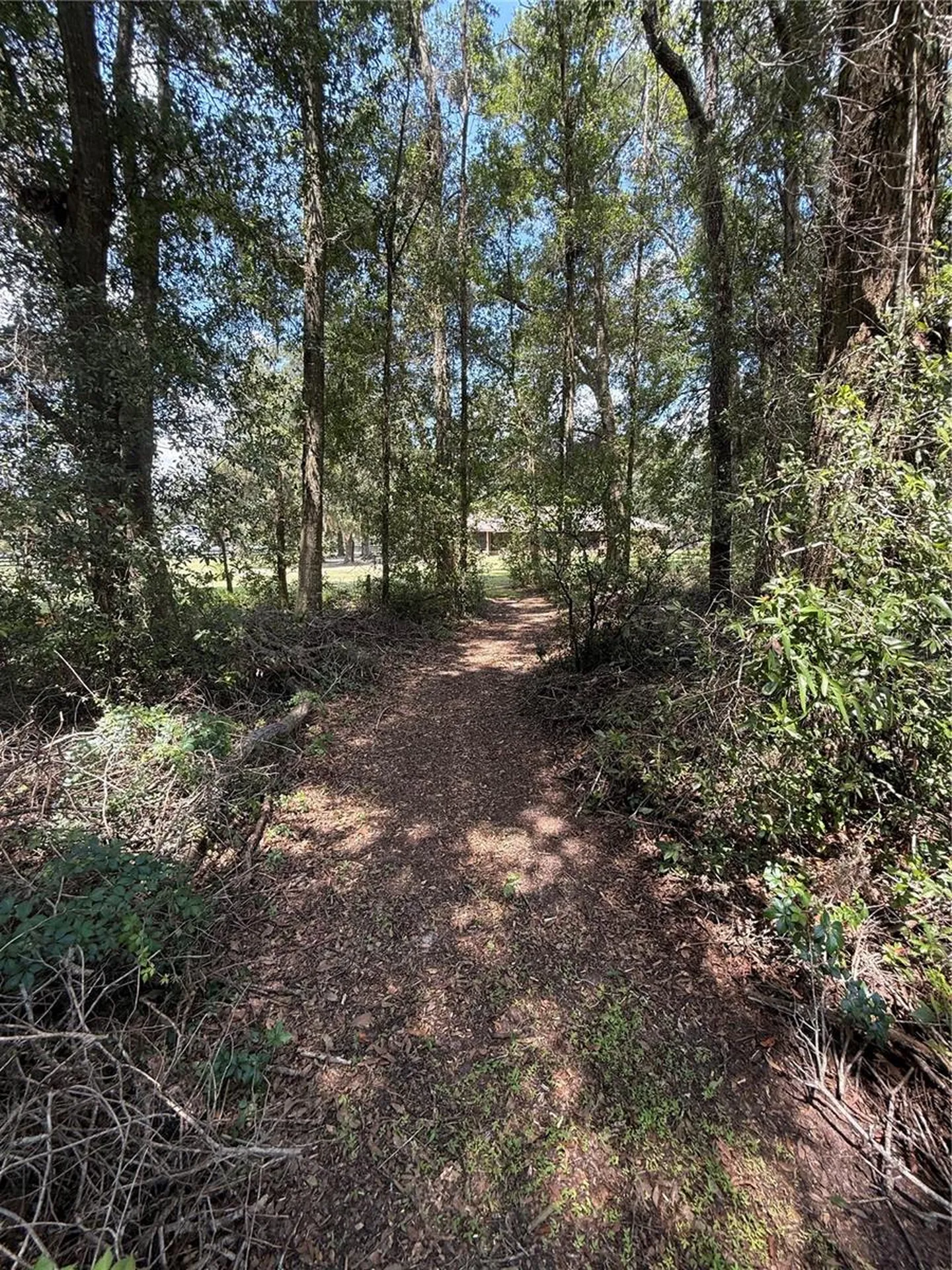 9901 SW 67th Terrace Ocala FL 34476