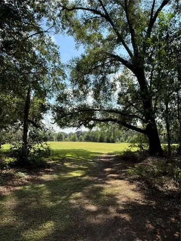 9901 SW 67th Terrace Ocala FL 34476