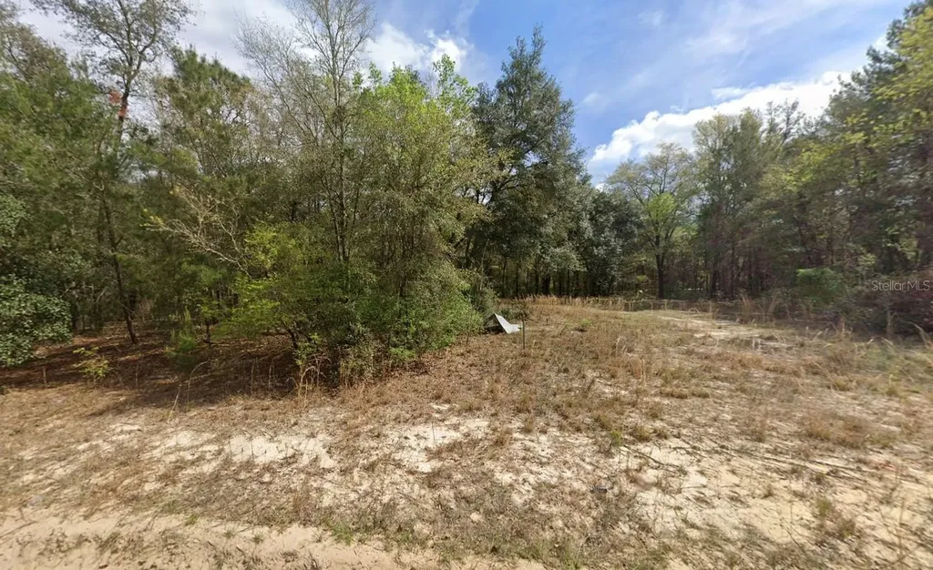 523 Gloria Avenue Interlachen FL 32148