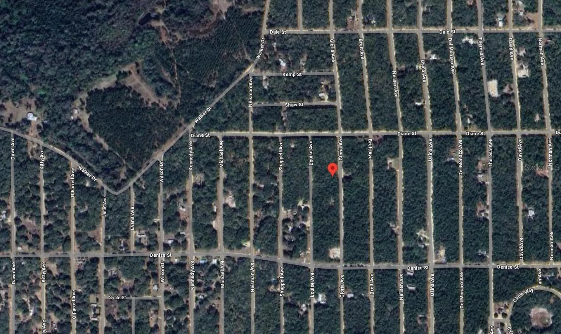 523 Gloria Avenue Interlachen FL 32148