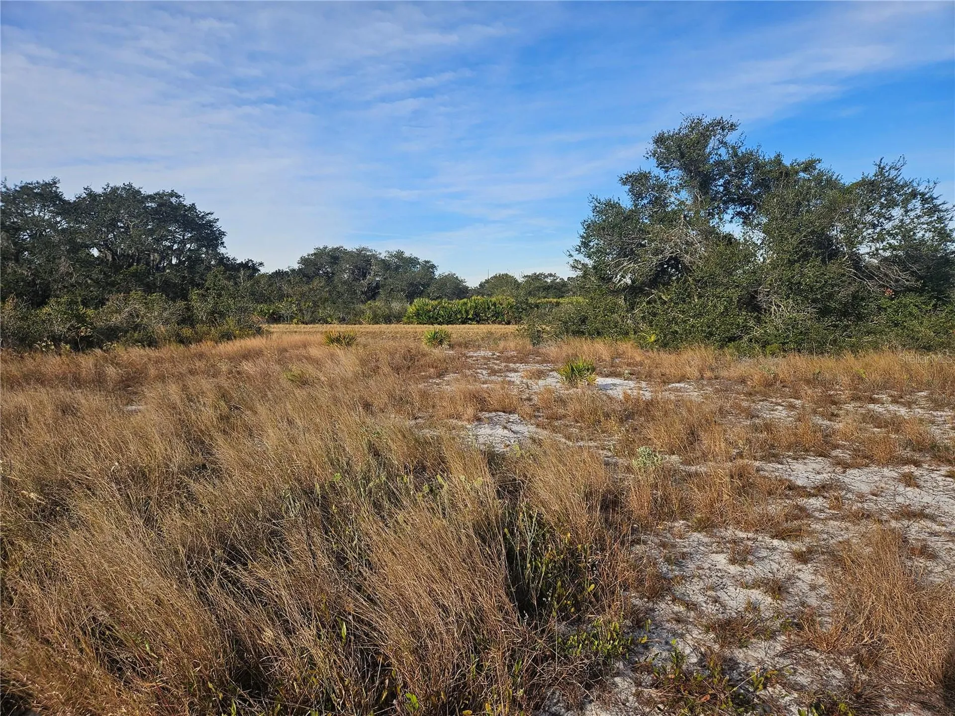 625 S Reed Road Avon Park FL 33825