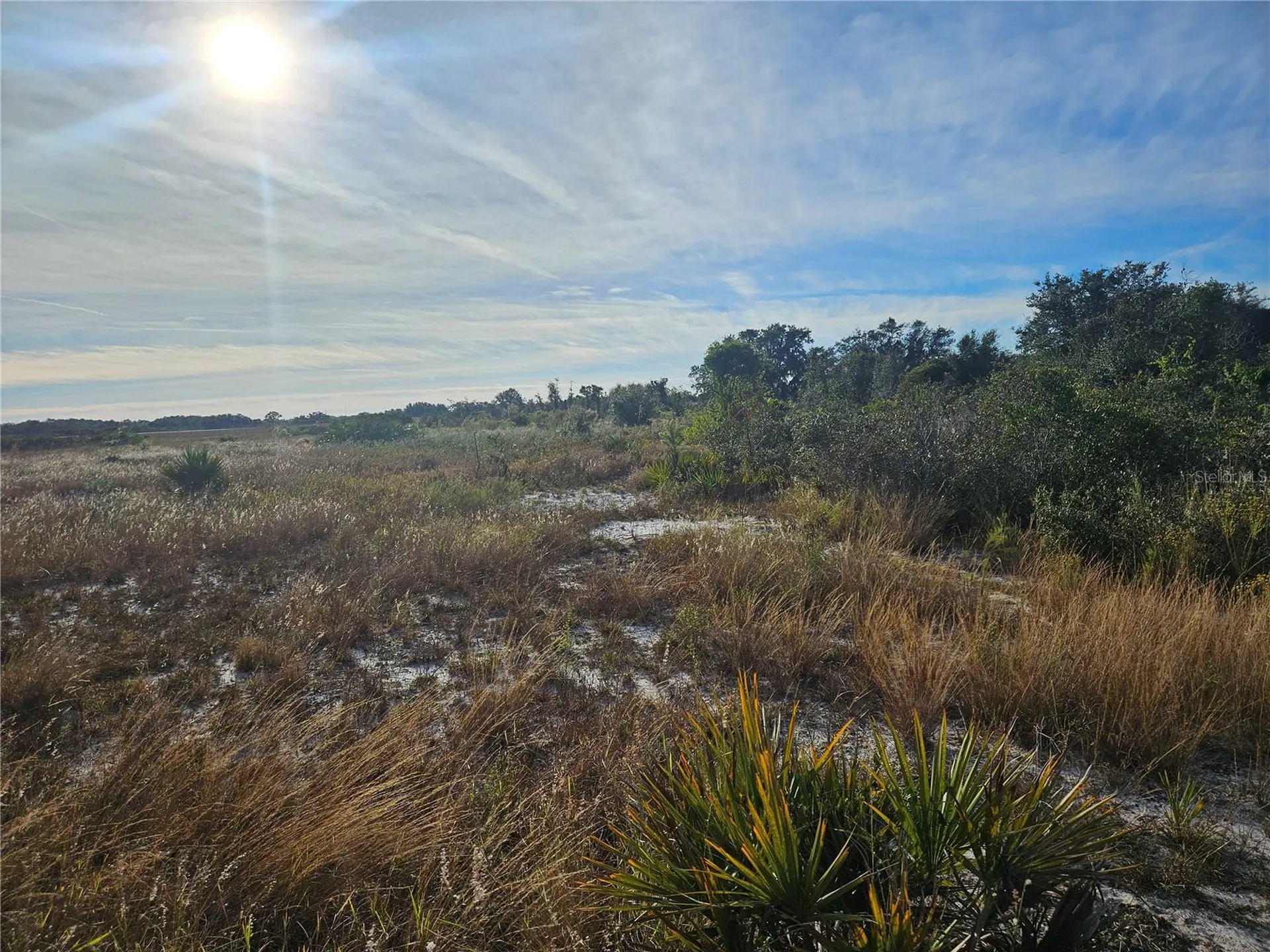 625 S Reed Road Avon Park FL 33825