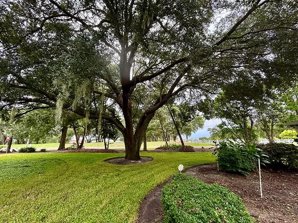 18550 Lake Emma Drive Groveland FL 34736