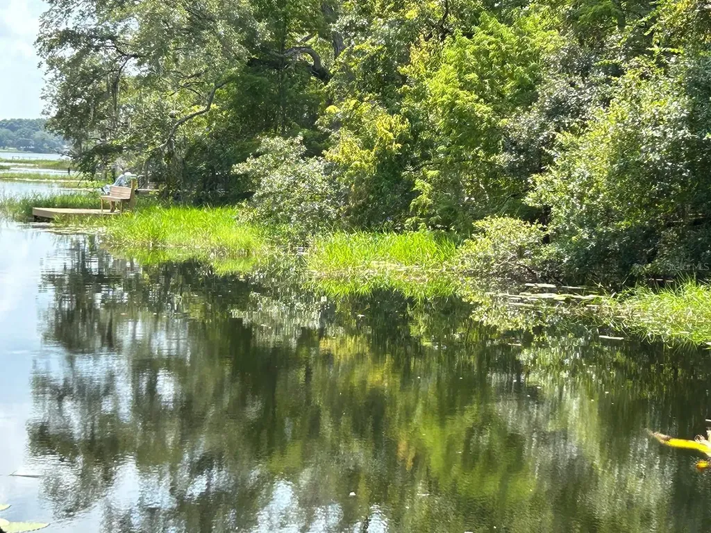 18550 Lake Emma Drive Groveland FL 34736