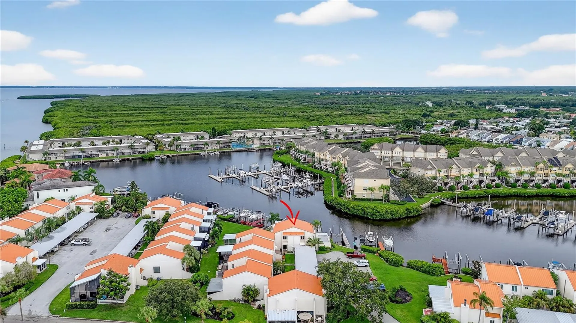 4201 Fogcutter Court Tampa FL 33615