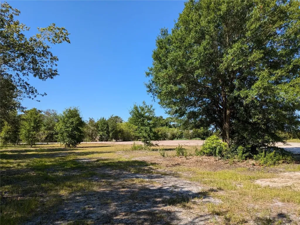 Cord Avenue St Cloud FL 34772