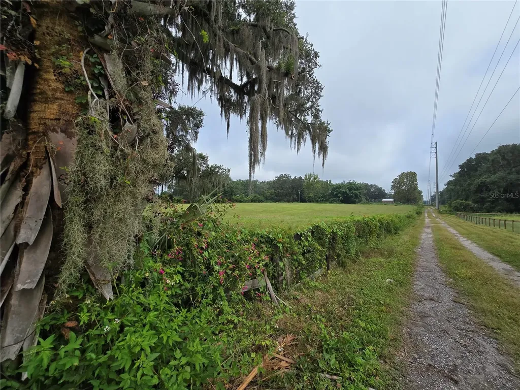 4901 NW 152nd Lane Reddick FL 32686