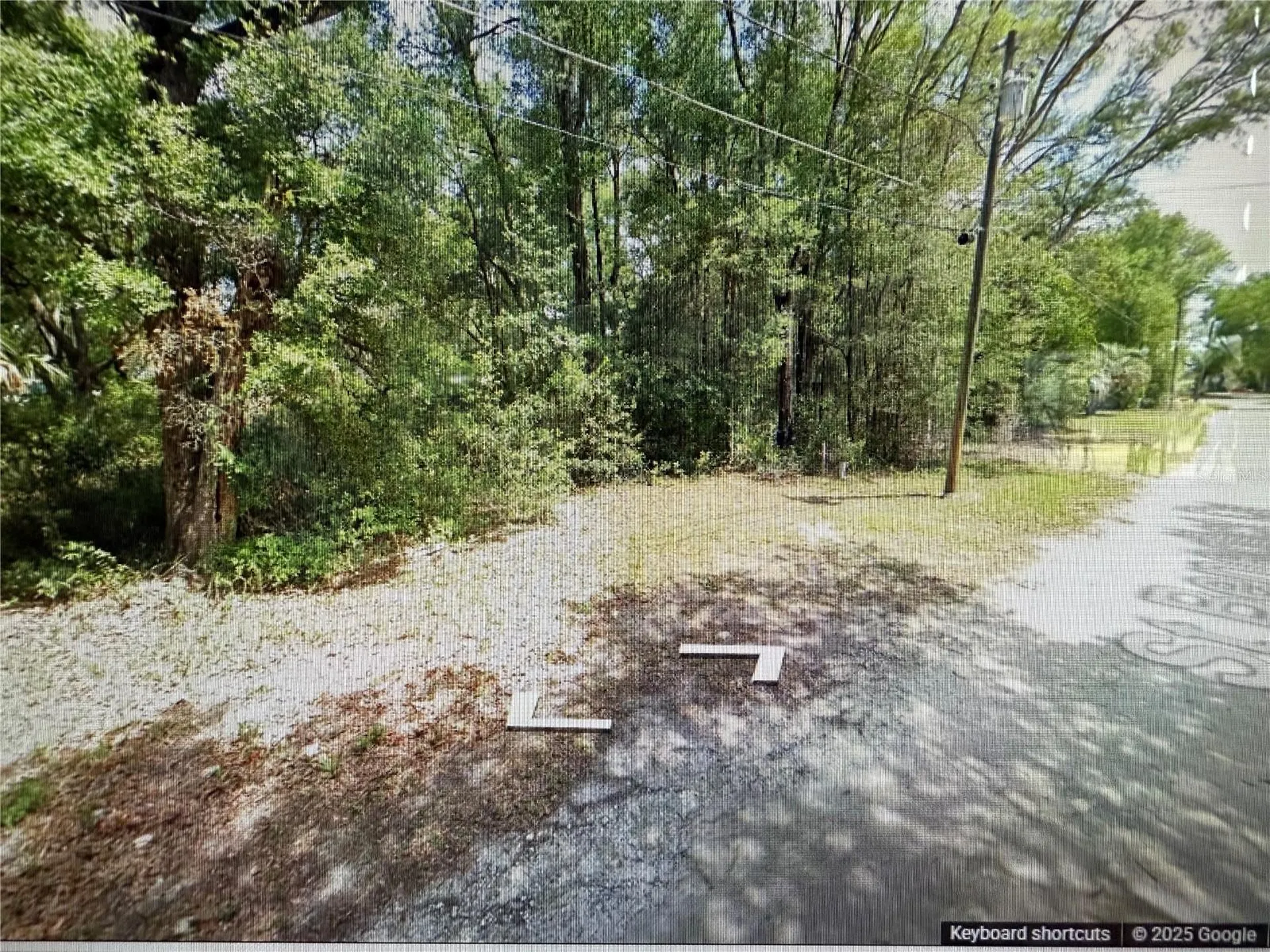 Tbd Street Benedict Drive Lot 113 Drive Dunnellon FL 34432