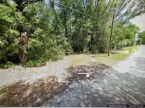 Tbd Street Benedict Drive Lot 113 Drive Dunnellon FL 34432