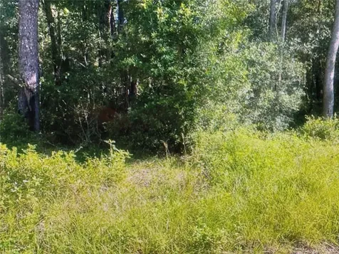 Tbd Street Benedict Drive Lot 113 Drive Dunnellon FL 34432