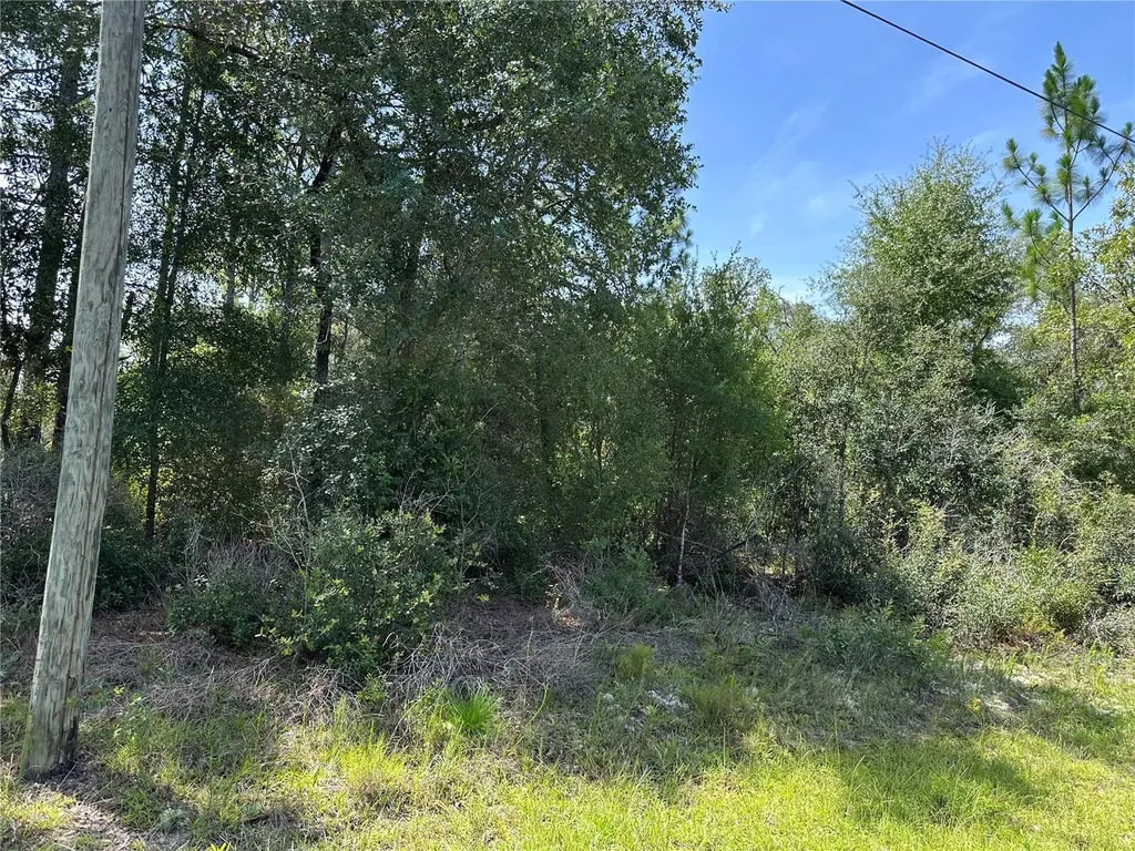 1498 E Carson Road Dunnellon FL 34434
