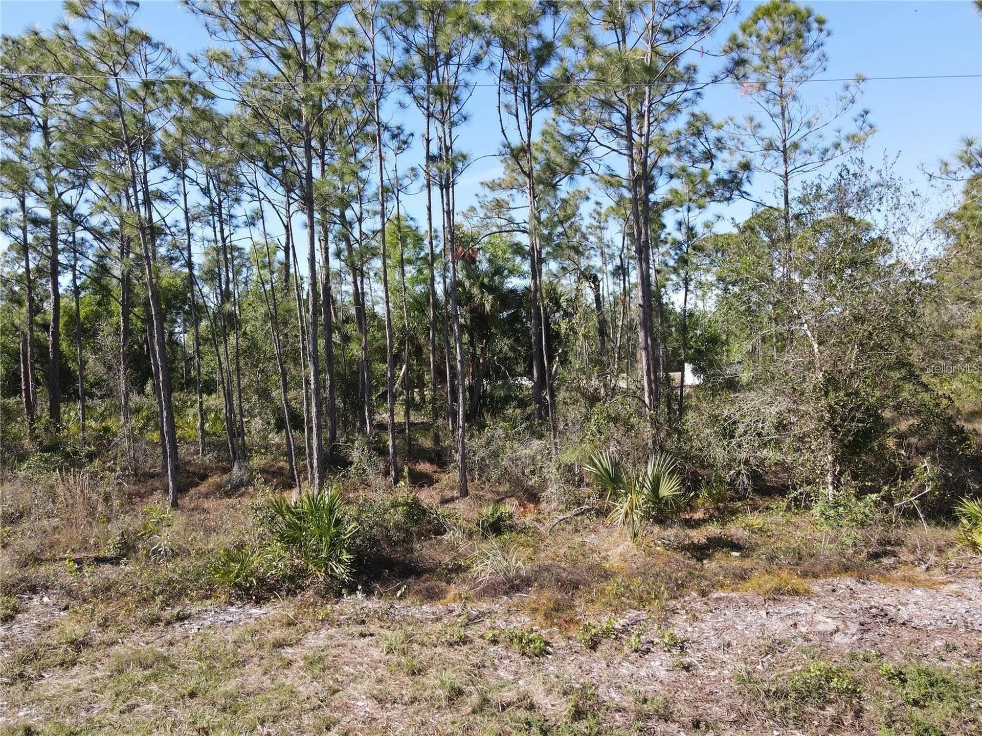 12295 Graffiti Drive Punta Gorda FL 33955