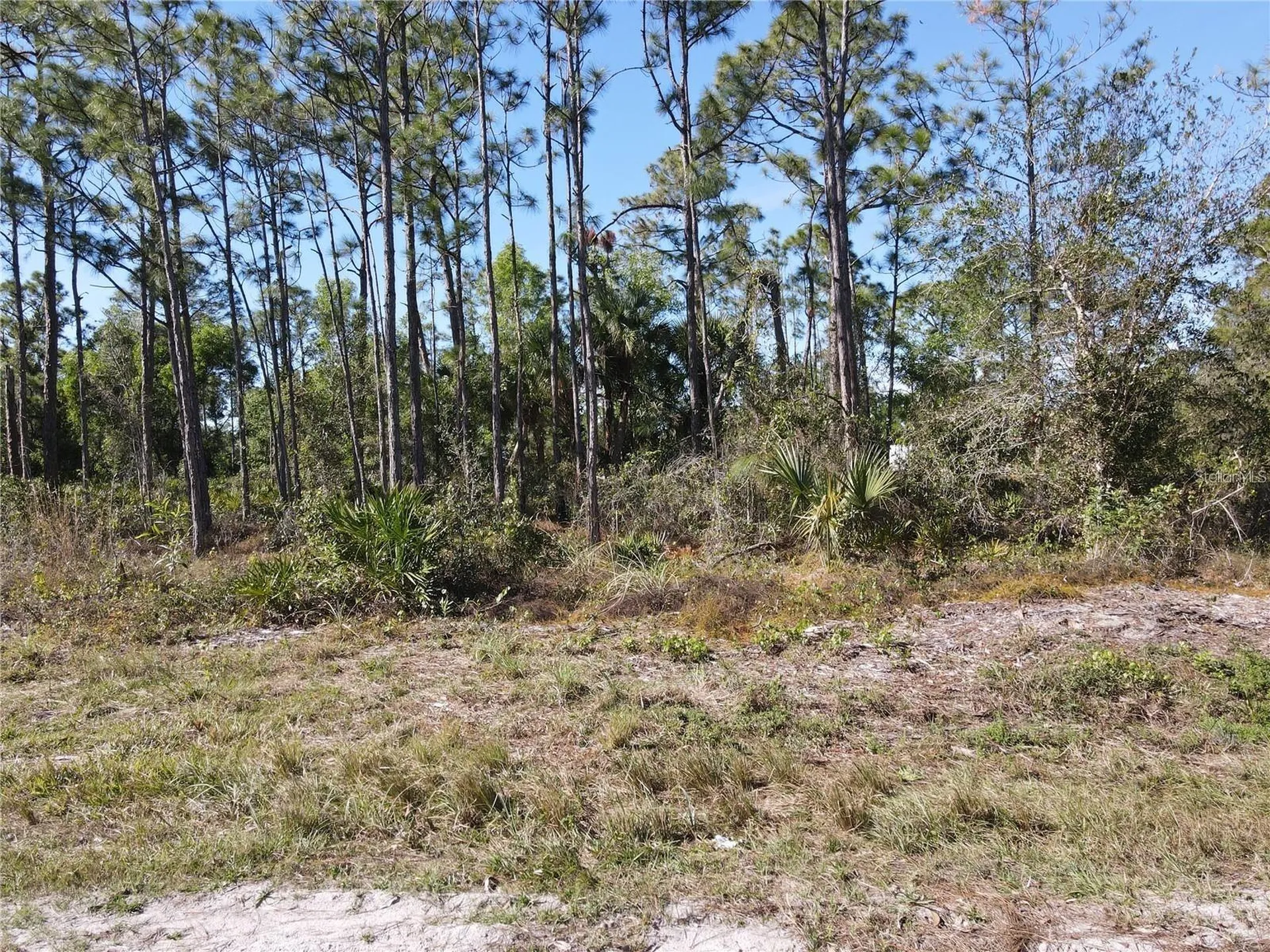 12295 Graffiti Drive Punta Gorda FL 33955