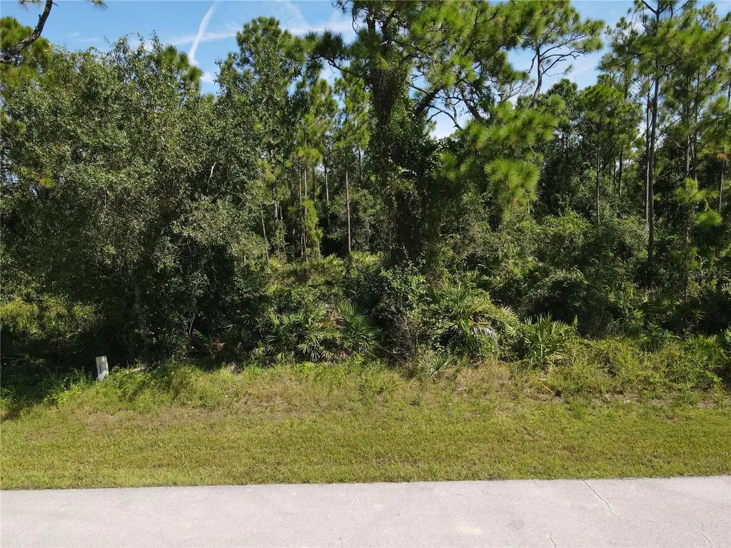 27064 Valencia Drive Punta Gorda FL 33955