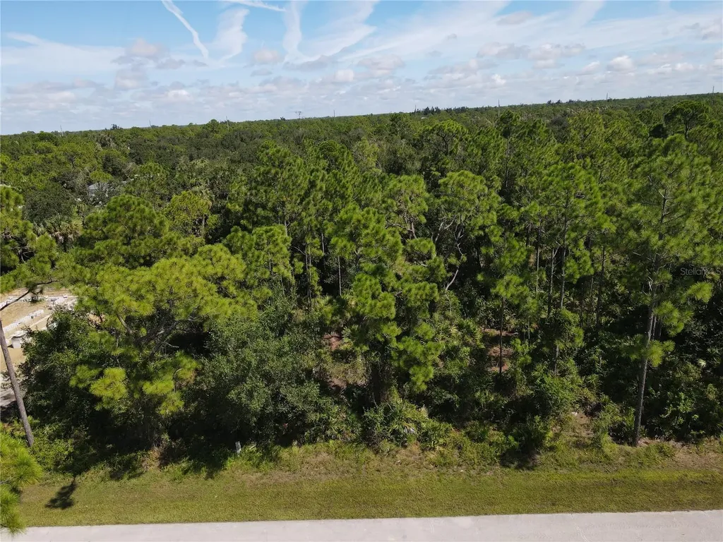 27064 Valencia Drive Punta Gorda FL 33955