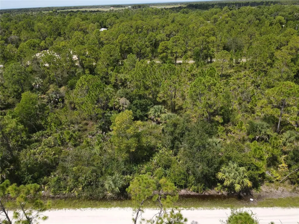 12301 Los Olas Drive Punta Gorda FL 33955