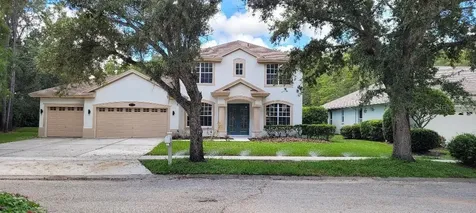 4802 Tea Rose Court Lutz FL 33558