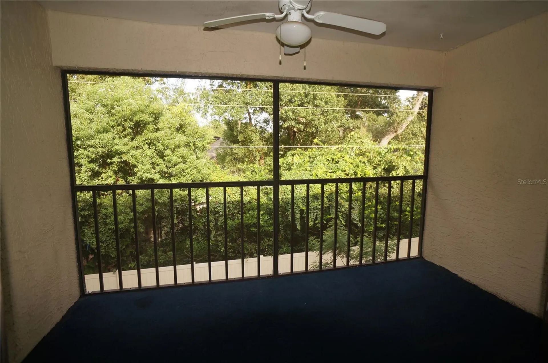 3590 Magnolia Ridge Circle Palm Harbor FL 34684