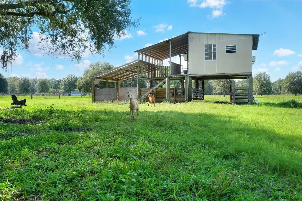 12552 Farmettes Road Lakeland FL 33809