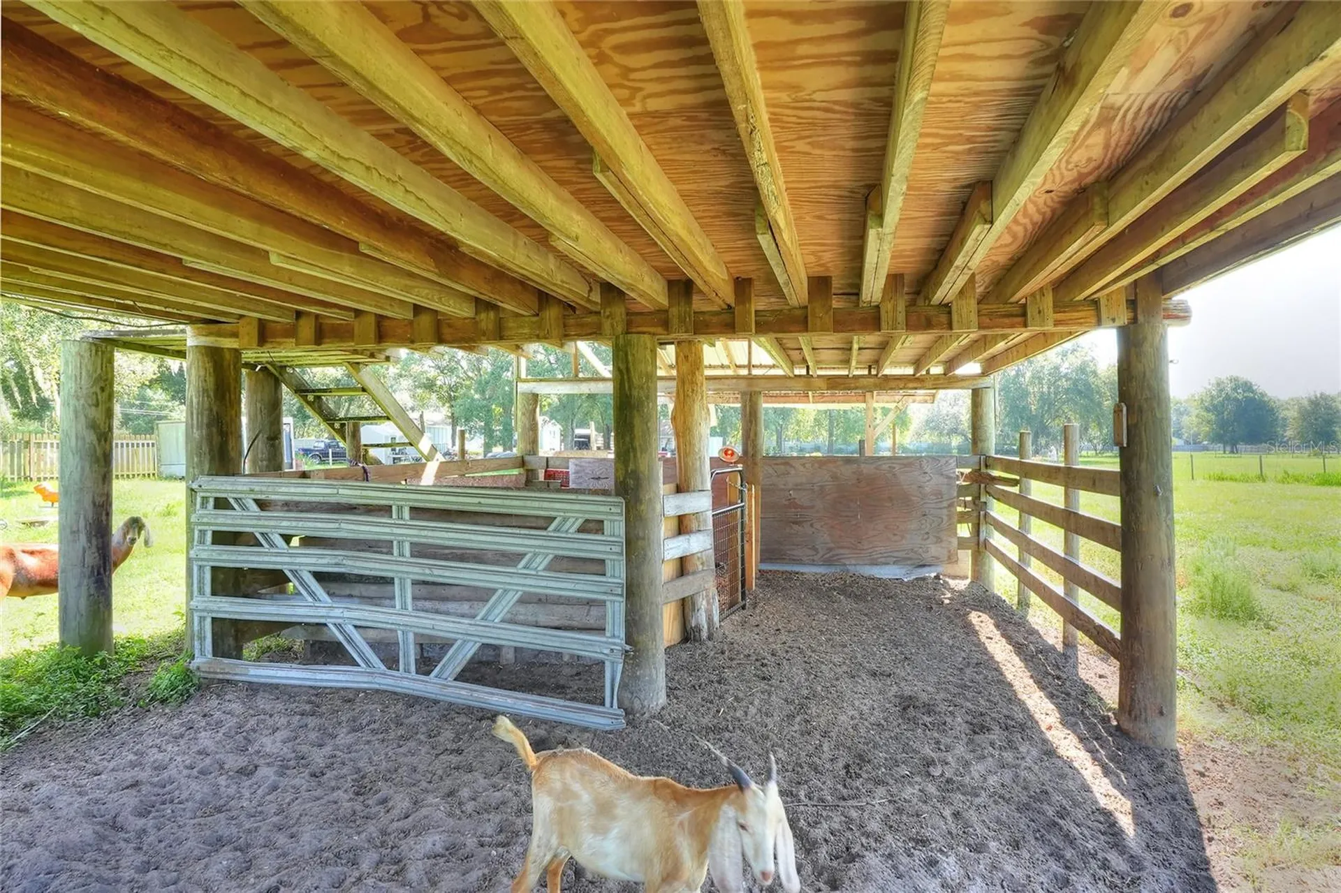 12552 Farmettes Road Lakeland FL 33809